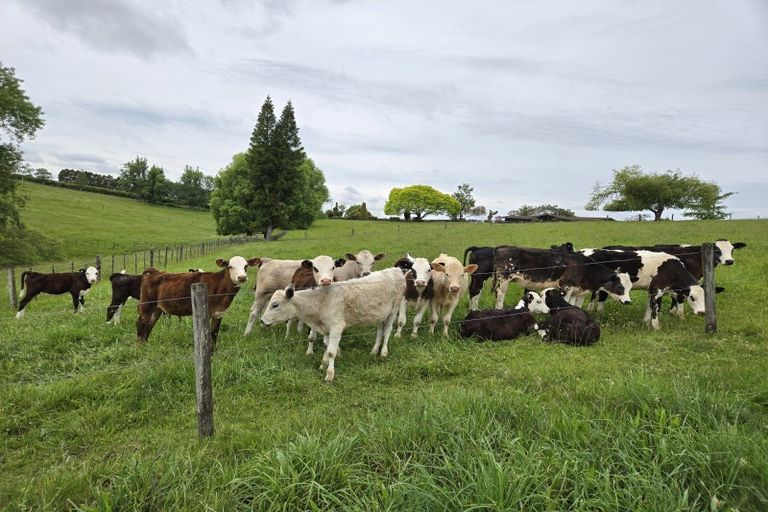 Photo of property in 146 Fletcher Road, Ngahinapouri, Hamilton, 3290