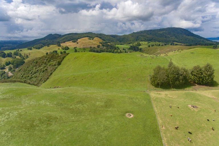 Photo of property in 96 Te Miri Road, Ngongotaha Valley, Rotorua, 3072
