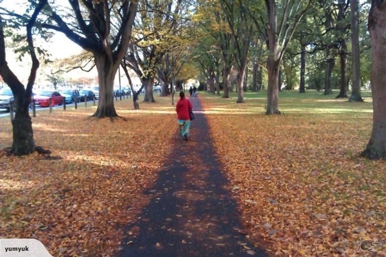 Photo of property in 91 Brockworth Place, Riccarton, Christchurch, 8011