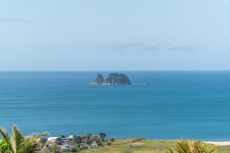 Photo of property in 171 Centennial Drive, Whitianga, 3510