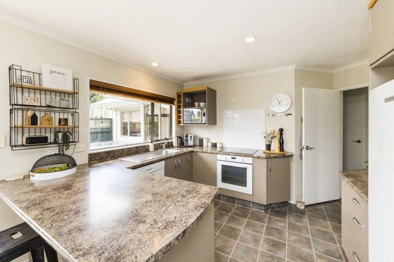 Photo of property in 62 Fraser Drive, Feilding, 4702