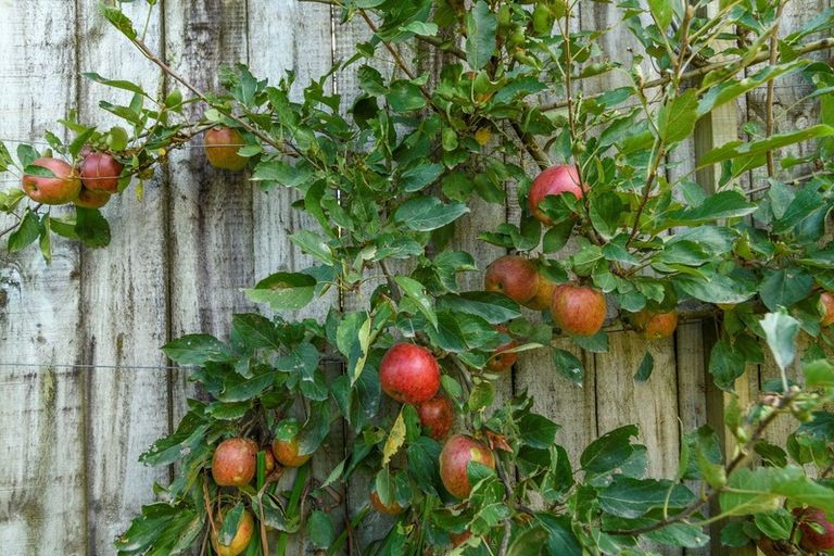 Photo of property in 147d Tetley Road, Katikati, 3178