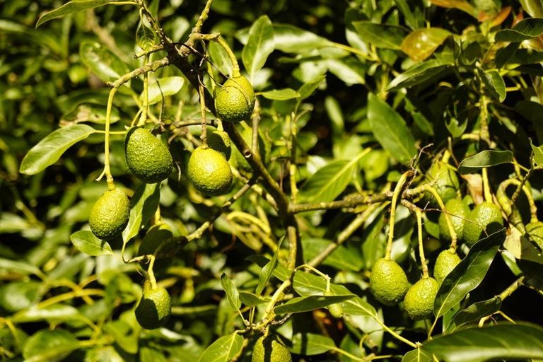 Photo of property in 49 Dodson Road, Takaka, 7183