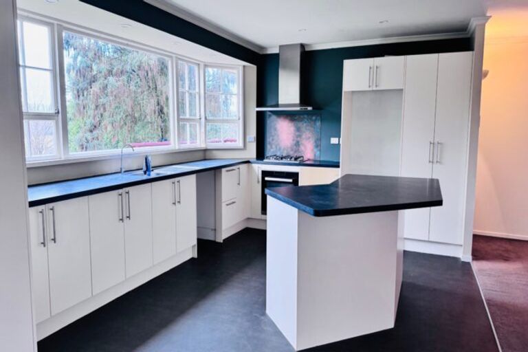 Photo of property in 217 Manuherikia Road, Springvale, Alexandra, 9393