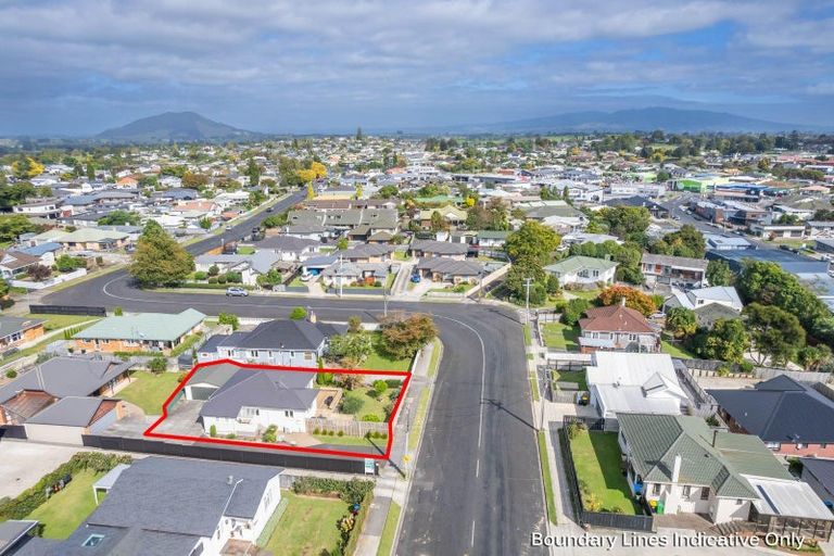 Photo of property in 488 Mandeno Street, Te Awamutu, 3800