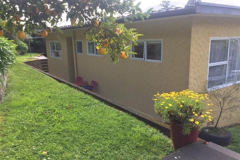 Photo of property in 192a Collingwood Street, Nelson, 7010