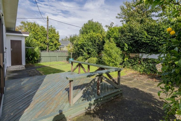 Photo of property in 81 Queenwood Road, Levin, 5510