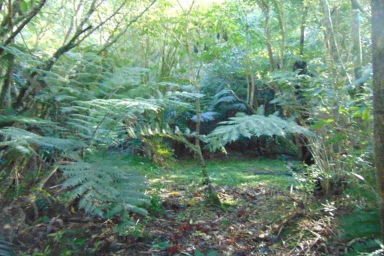 Photo of property in 118 Opanuku Road, Henderson Valley, Auckland, 0612