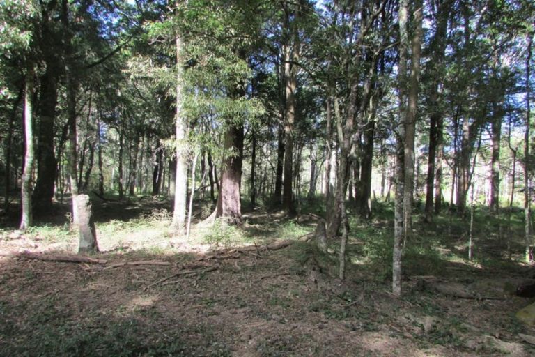 Photo of property in 58 Riddell Road, Waerenga, Te Kauwhata, 3781