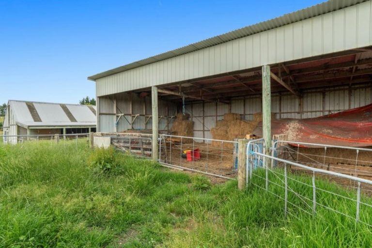 Photo of property in 531 Wright Road, Aongatete, Katikati, 3181