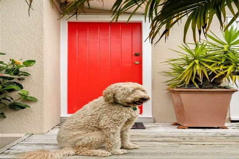 Photo of property in 1/94 Island Bay Road, Beach Haven, Auckland, 0626