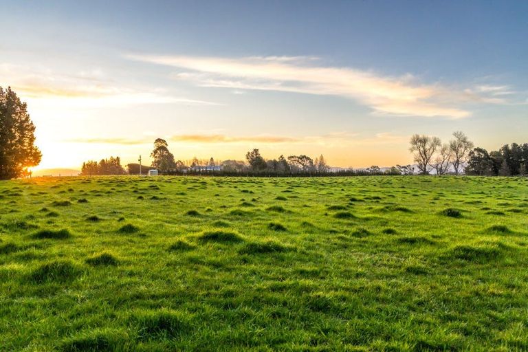 Photo of property in 934 Oxford Road, Fernside, 7471