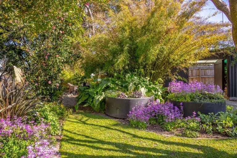 Photo of property in 15 Coddington Crescent, Masterton, 5810