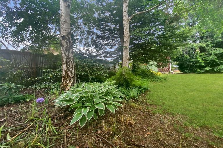 Photo of property in 55 Rata Road, Twizel, 7901