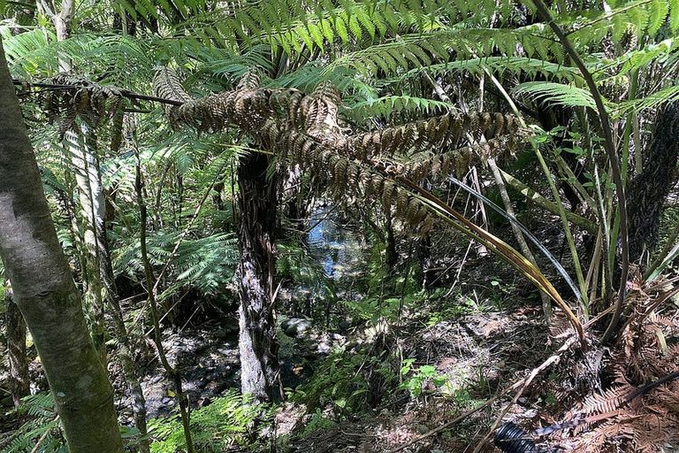 Photo of property in 1864 Takaka-collingwood Highway, Milnthorpe, Collingwood, 7182