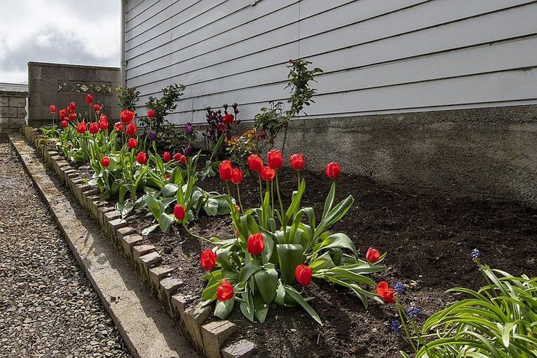 Photo of property in 10 Stronsa Street, Palmerston, 9430