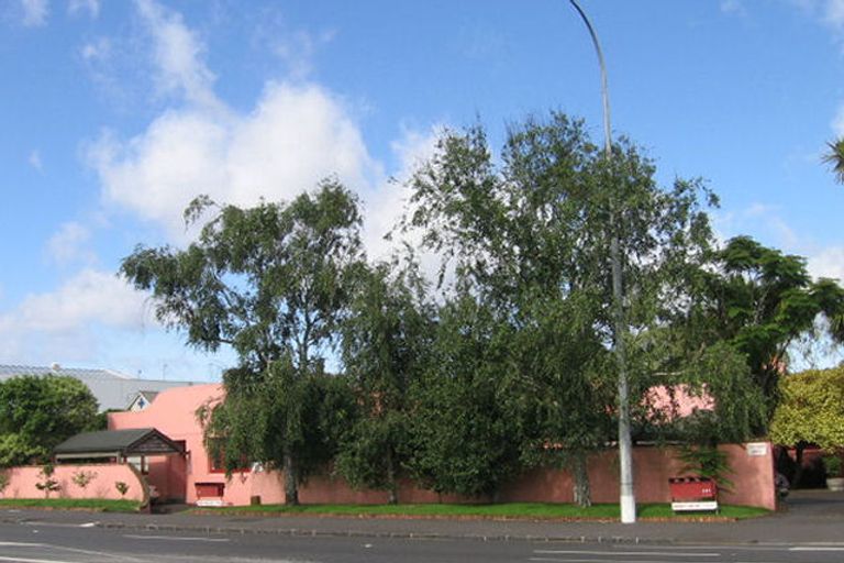 Photo of property in 7/337 Manukau Road, Epsom, Auckland, 1023