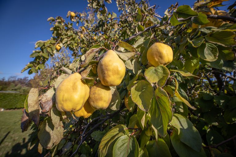 Photo of property in 7 Weka Pass Road, Waikari, 7420