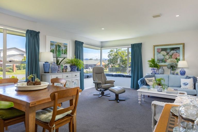 Photo of property in 17 Elisha Drive, Witherlea, Blenheim, 7201