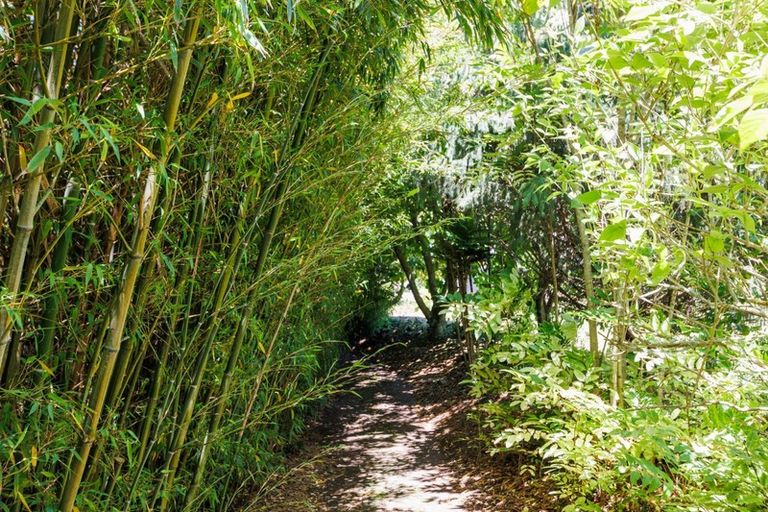 Photo of property in 126 Turitea Road, Fitzherbert, Palmerston North, 4472