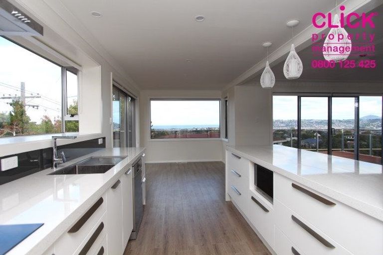 Photo of property in 175 Scott Street, Waverley, Dunedin, 9013