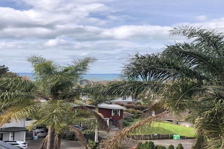 Photo of property in 10 Dorrit Lane, Howick, Auckland, 2014