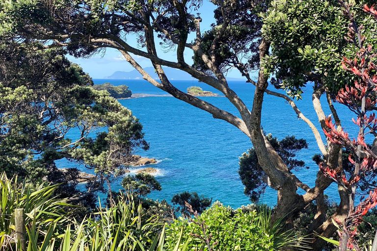 Photo of property in 1 Penguin Street, Leigh, 0985