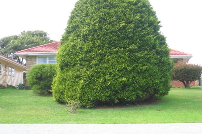 Photo of property in 29 Mccullough Avenue, Papatoetoe, Auckland, 2025