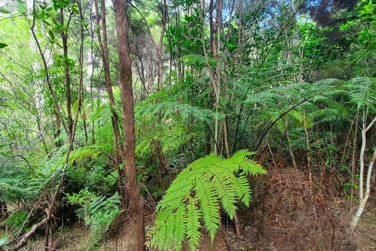 Photo of property in 34 Schoolhouse Bay Road, Kawau Island, 0920