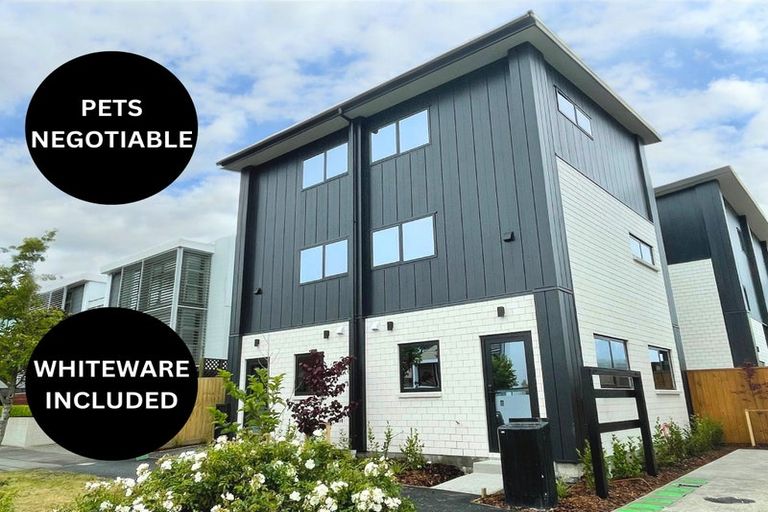 Photo of property in 3/263 Gloucester Street, Christchurch Central, Christchurch, 8011