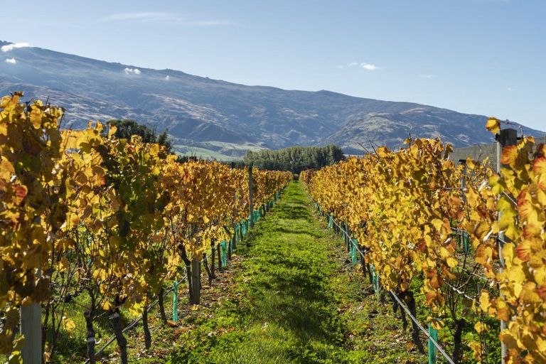 Photo of property in 1034 Luggate-cromwell Road, Mount Pisa, Cromwell, 9383