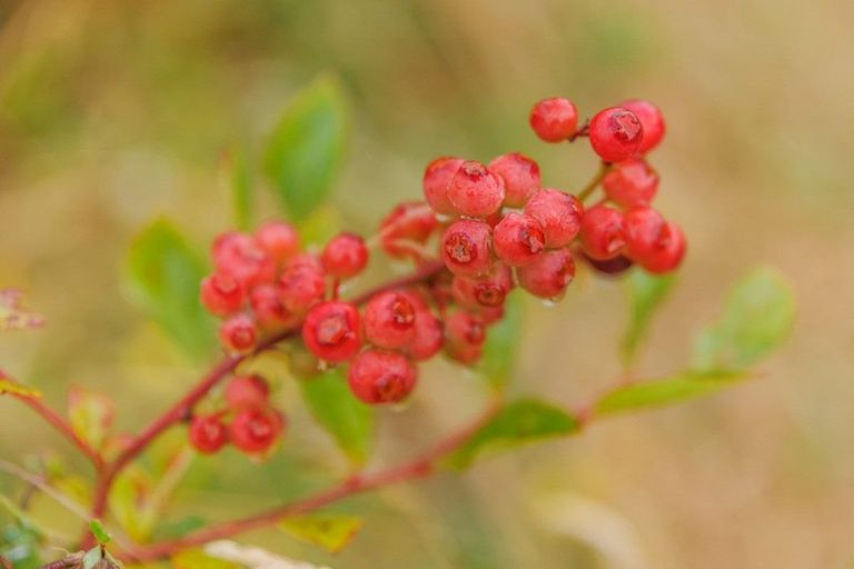 Photo of property in 790 Pungaere Road, Waipapa, 0295