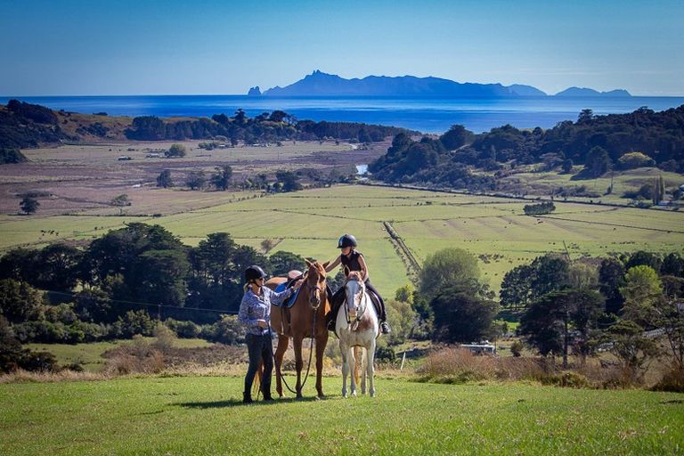 Photo of property in 46 Manunui Road, Pakiri, Wellsford, 0972