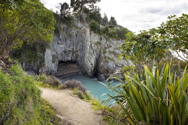 Photo of property in 196 Rarangi Beach Road, Rarangi, Blenheim, 7273