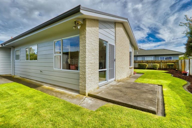 Photo of property in 117 Avondale Road, Greenmeadows, Napier, 4112