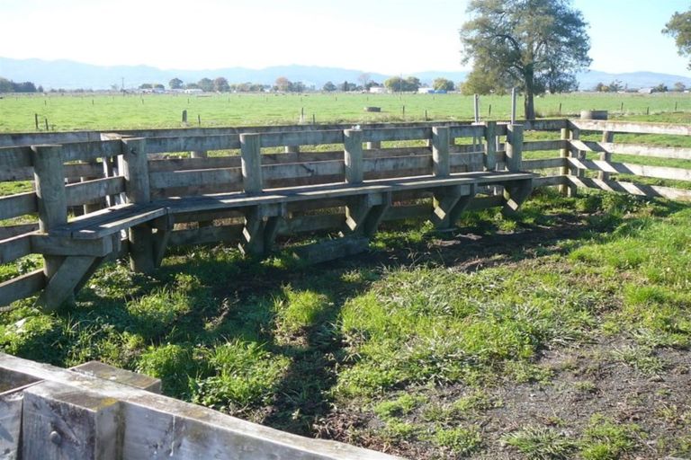 Photo of property in 560 Hauraki Road, Turua, 3574