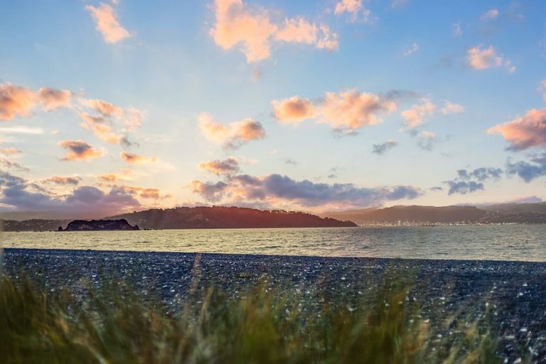 Photo of property in 105 Marine Parade, Eastbourne, Lower Hutt, 5013