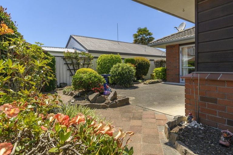 Photo of property in 8a Courtney Road, Gate Pa, Tauranga, 3112