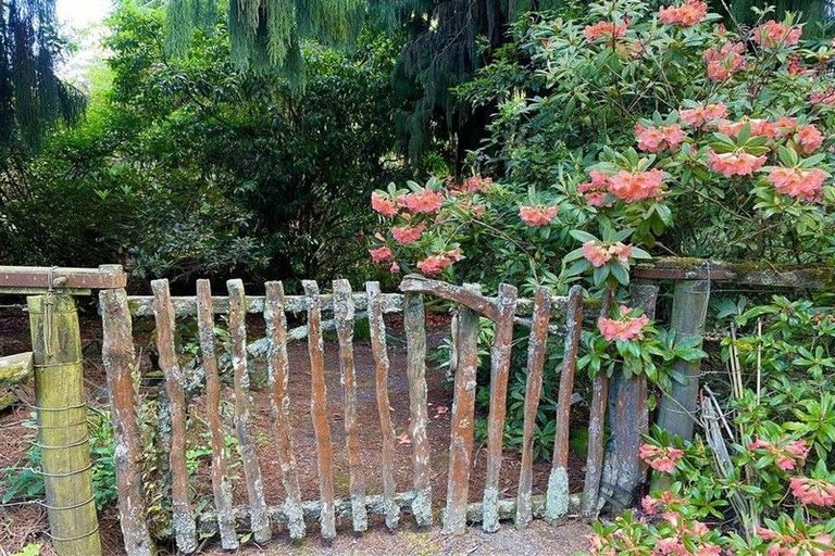 Photo of property in 488 Tapuwae Road, Maniaiti / Benneydale, Te Kuiti, 3987