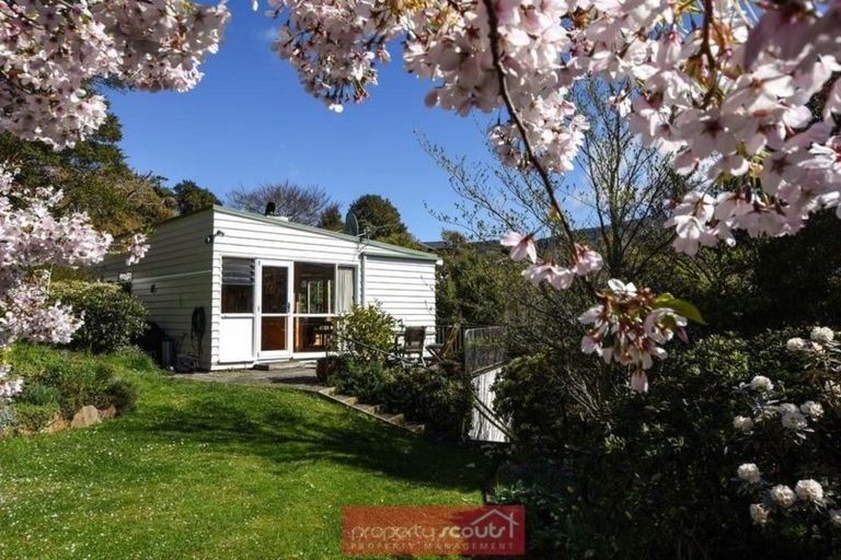 Photo of property in 61 Braeview Crescent, Maori Hill, Dunedin, 9010