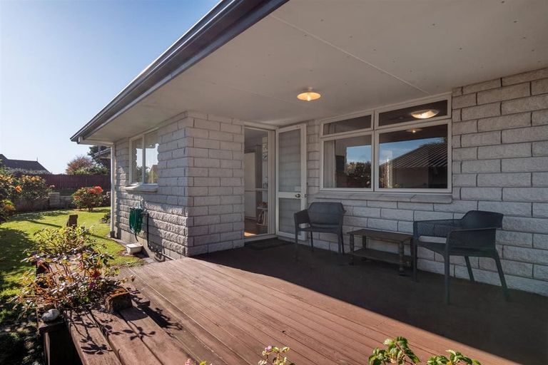Photo of property in 177 Cameron Road, Te Puke, 3119
