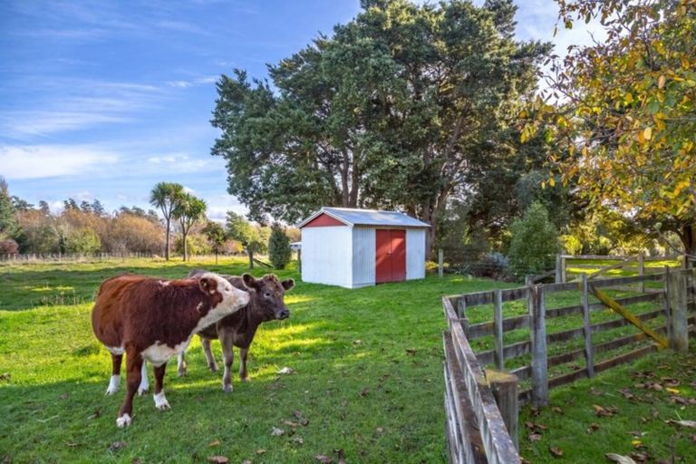 Photo of property in 79 Oxford Street, Lansdowne, Masterton, 5810