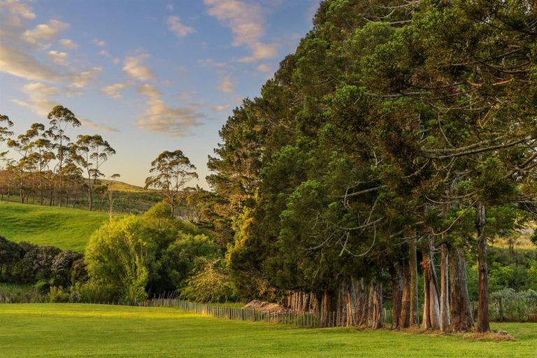 Photo of property in 713 Ararimu Valley Road, Helensville, 0882