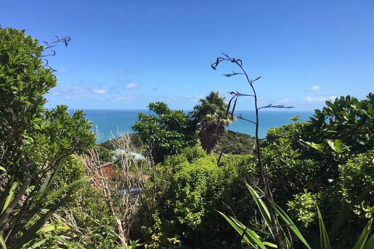 Photo of property in 105 Piha Road, Piha, 0772