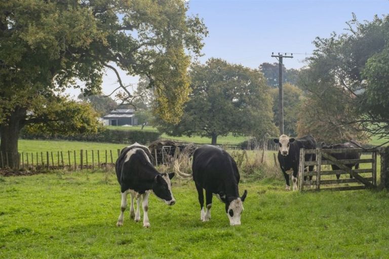 Photo of property in 11 Narrows Road, Rukuhia, Hamilton, 3282