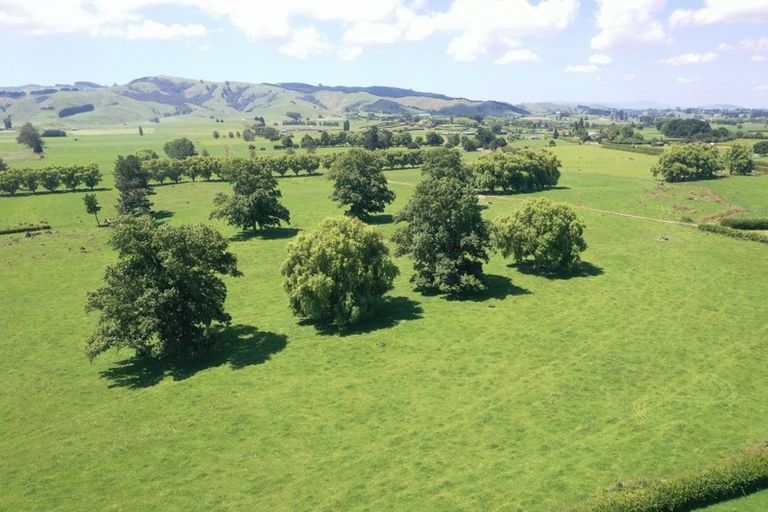 Photo of property in 231 Grice Road, Rotoorangi, Cambridge, 3495