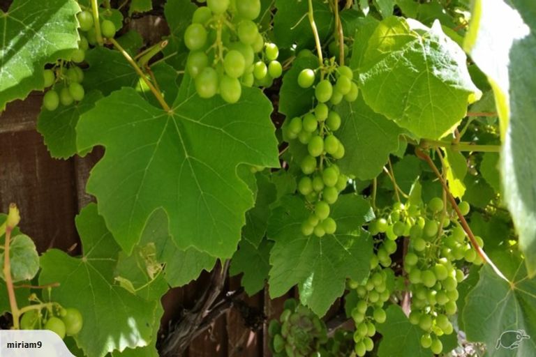 Photo of property in 50 Rocking Horse Road, Southshore, Christchurch, 8062