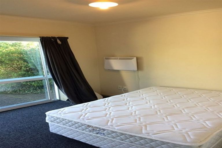 Photo of property in 9 Frame Street, North East Valley, Dunedin, 9010