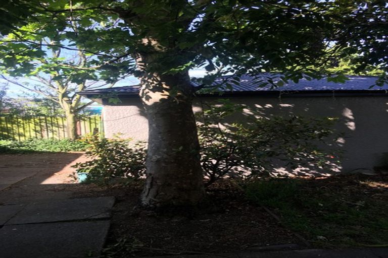 Photo of property in 24 Rogers Street, Sydenham, Christchurch, 8023