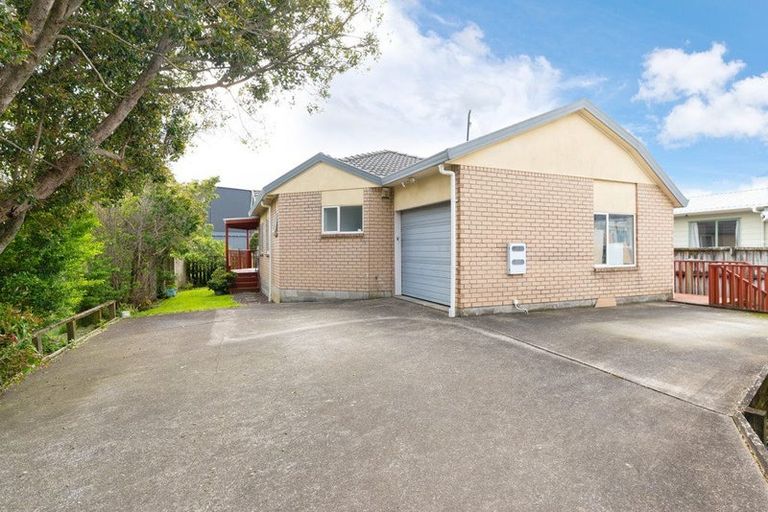 Photo of property in 55a Marion Avenue, Mount Roskill, Auckland, 1041